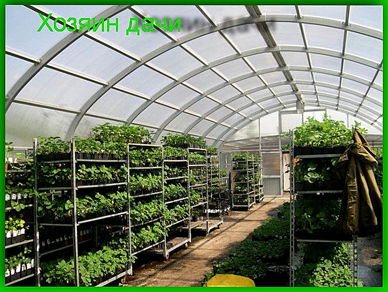 Парники из поликарбоната фото