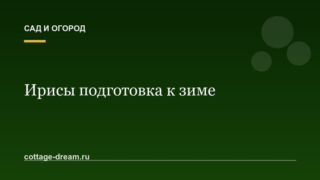 Ирисы подготовка к зиме