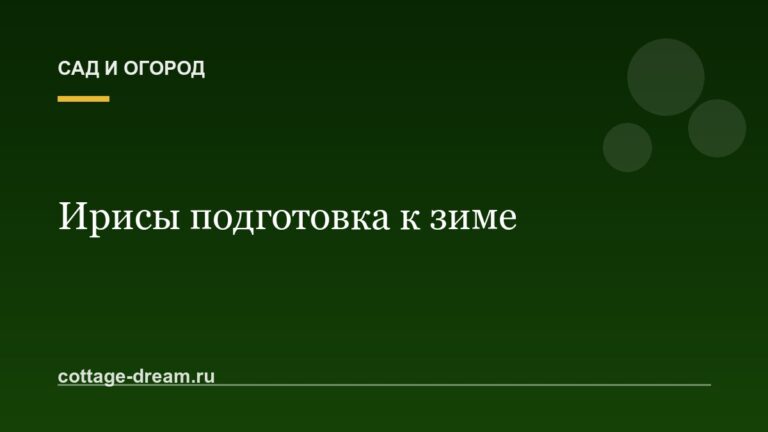 Ирисы подготовка к зиме