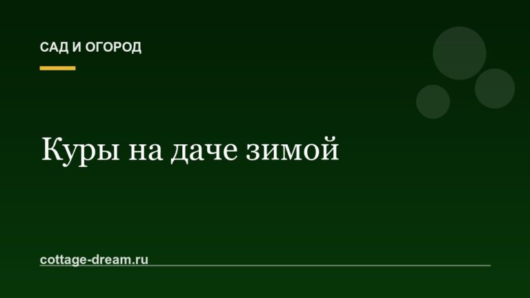 Куры на даче зимой: содержание