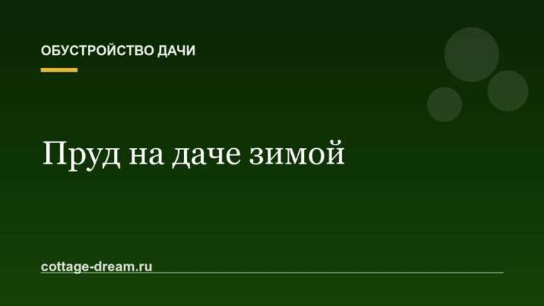 Пруд на даче зимой