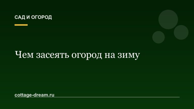 Чем засеять огород на зиму