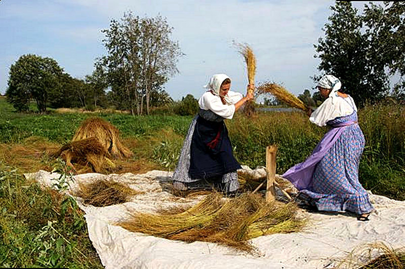 Первичная обработка льна