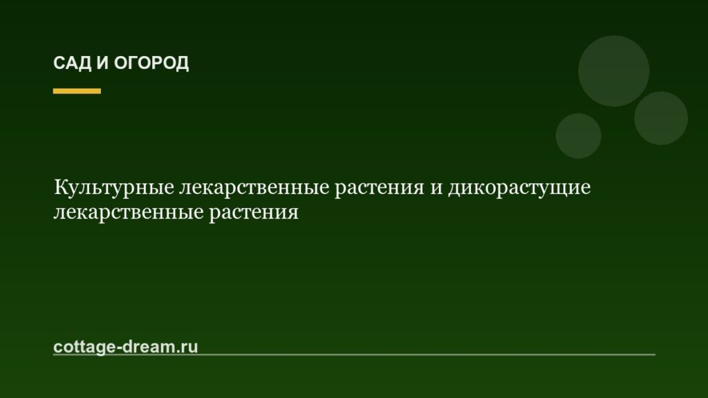 Культурные лекарственные растения и дикорастущие лекарственные растения