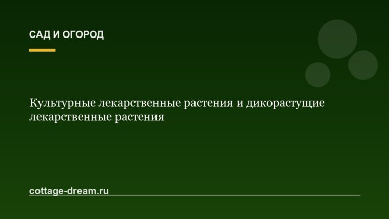 Культурные лекарственные растения и дикорастущие лекарственные растения