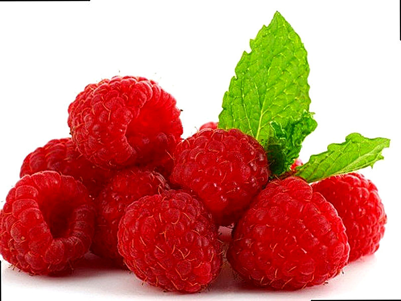 Малина выращивание и уход