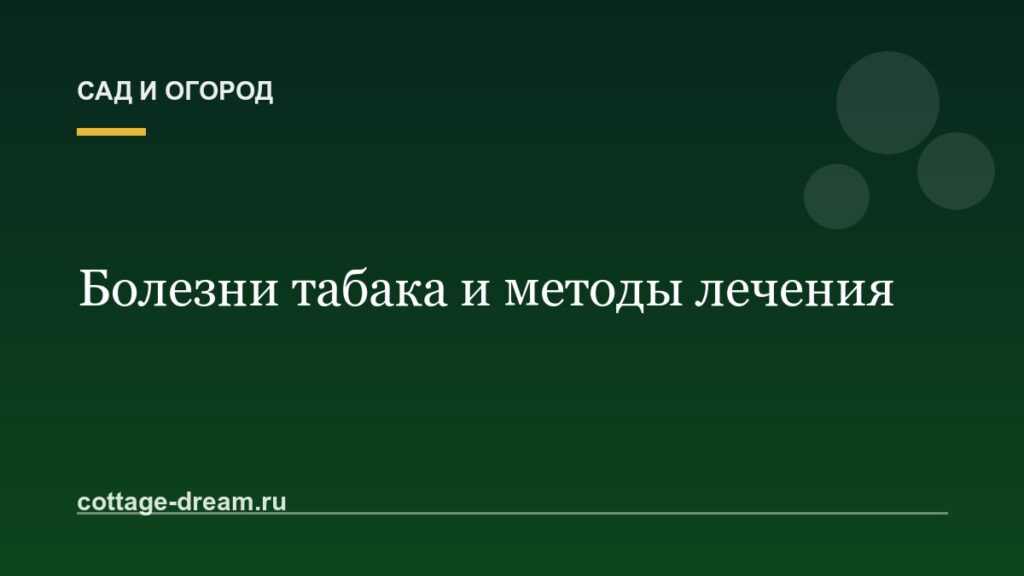 Болезни табака и методы лечения