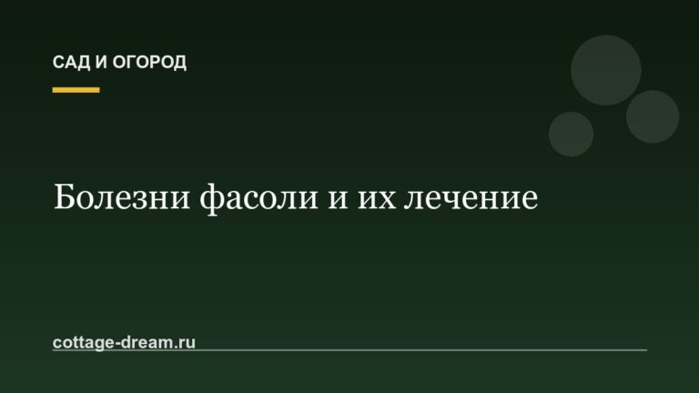Болезни фасоли и их лечение