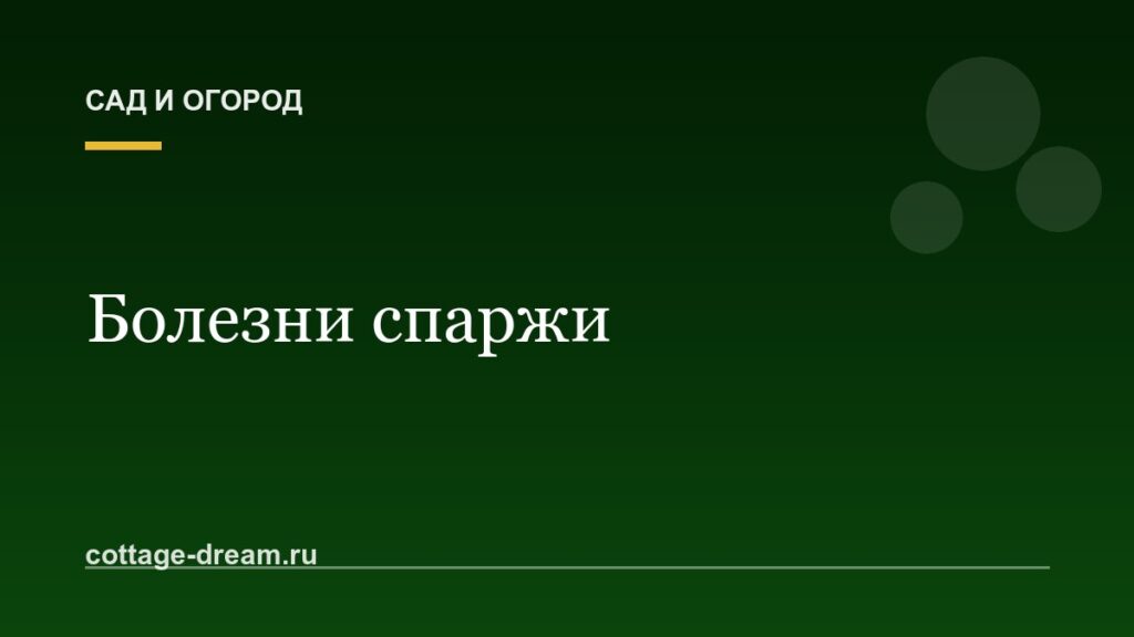 Болезни спаржи