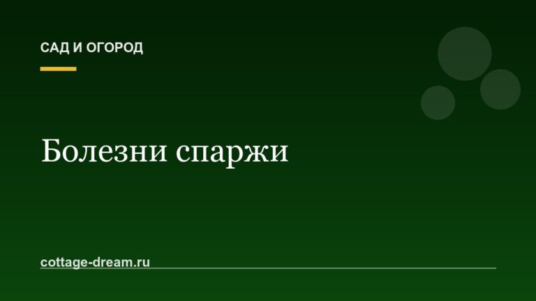 Болезни спаржи