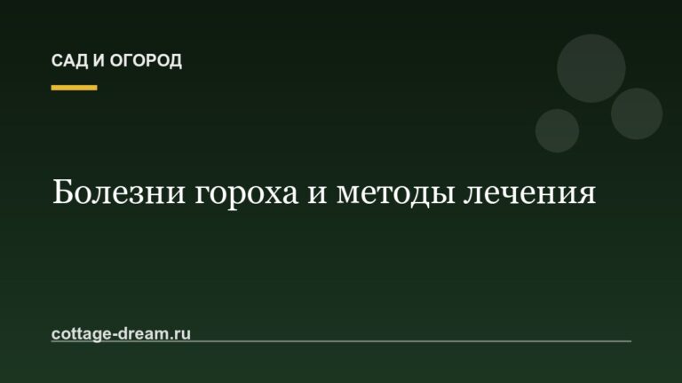 Болезни гороха и методы лечения