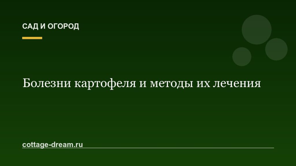 Болезни картофеля и методы их лечения: фото