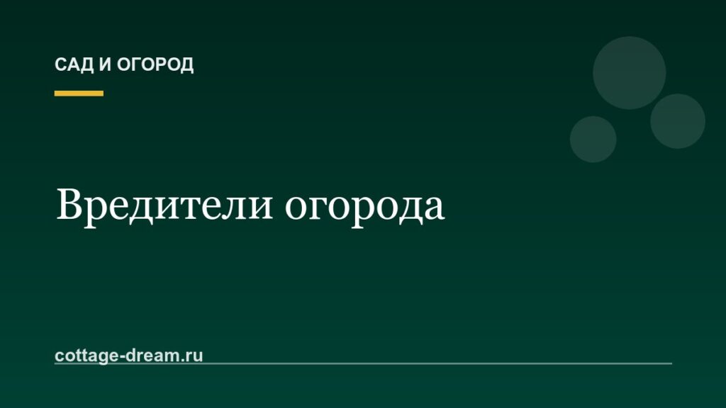 Вредители огорода: описание и фото