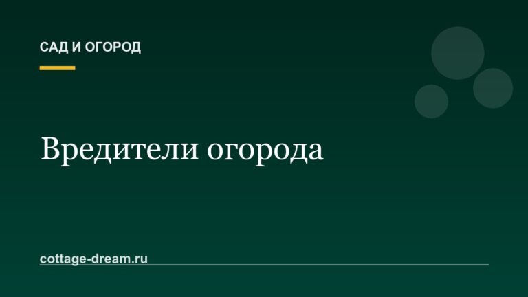 Вредители огорода: описание и фото