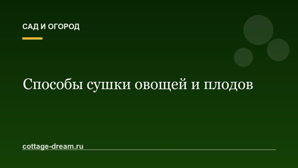Способы сушки овощей и плодов