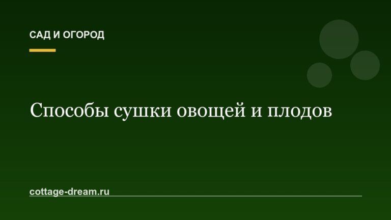 Способы сушки овощей и плодов