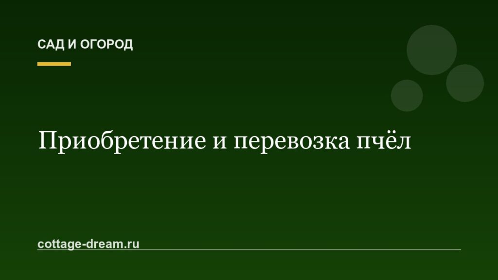 Приобретение и перевозка пчёл
