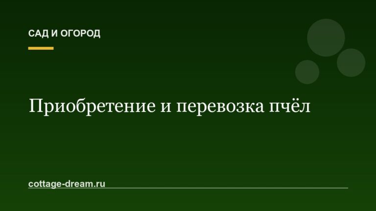 Приобретение и перевозка пчёл