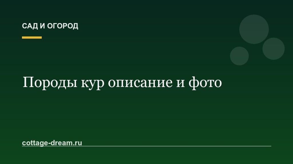 Породы кур описание и фото