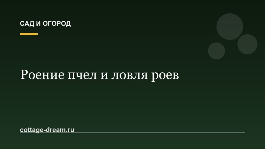 Роение пчел и ловля роев