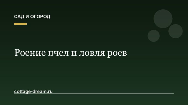 Роение пчел и ловля роев