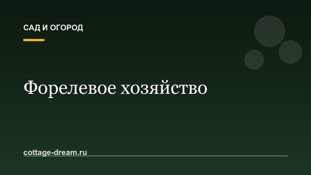 Форелевое хозяйство