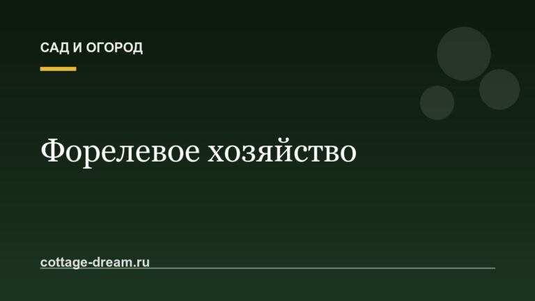 Форелевое хозяйство