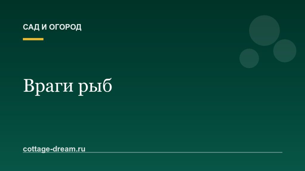 Враги рыб: фото