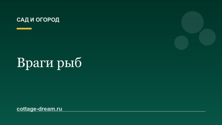 Враги рыб: фото