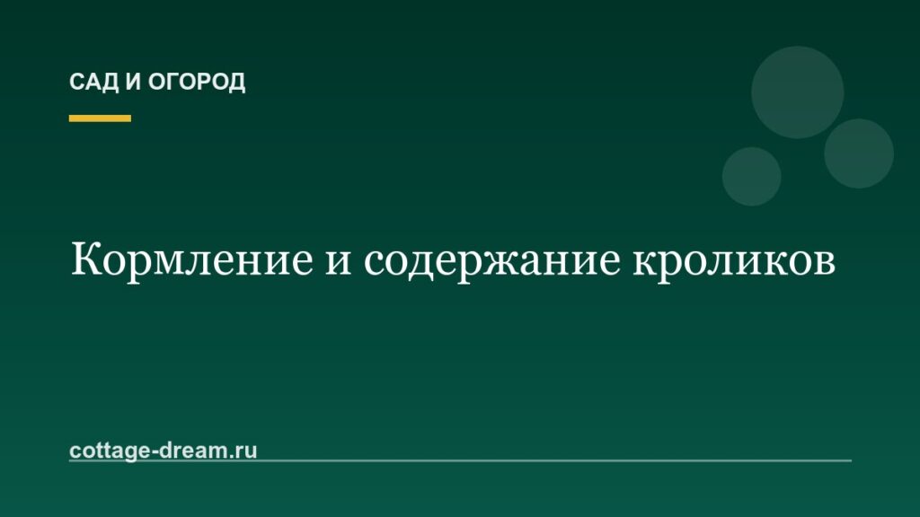 Кормление и содержание кроликов