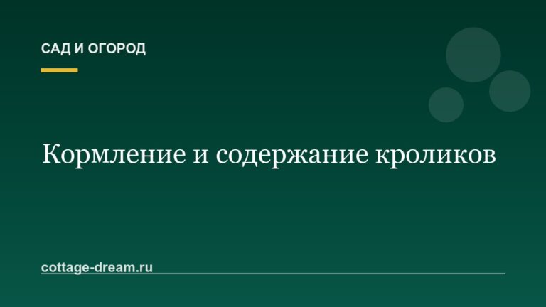 Кормление и содержание кроликов
