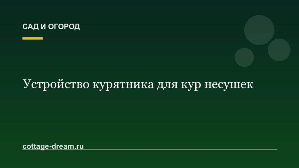 Устройство курятника для кур несушек