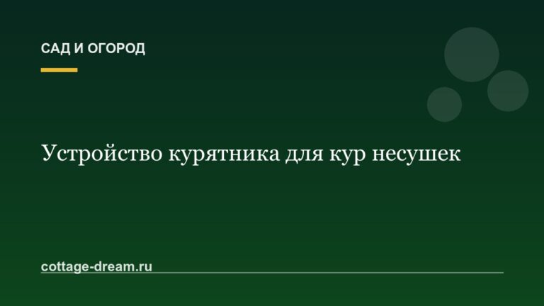 Устройство курятника для кур несушек