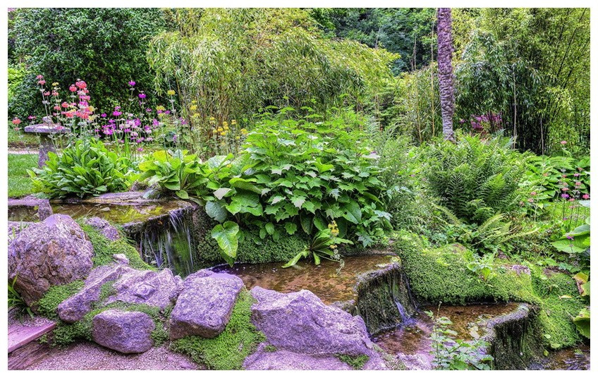 Ниагарский водопад из растений