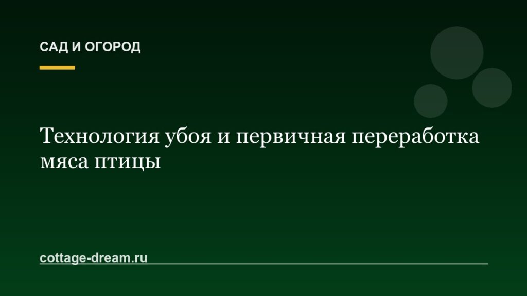 Технология убоя и первичная переработка мяса птицы