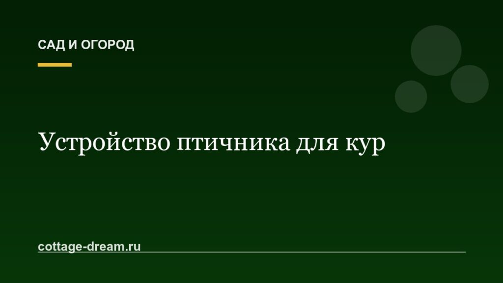 Устройство птичника для кур