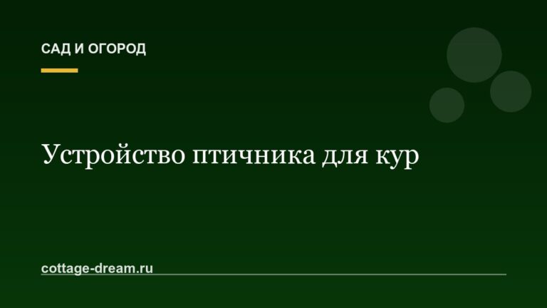 Устройство птичника для кур