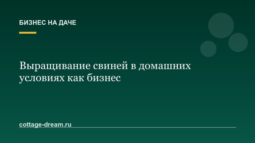 Выращивание свиней в домашних условиях как бизнес
