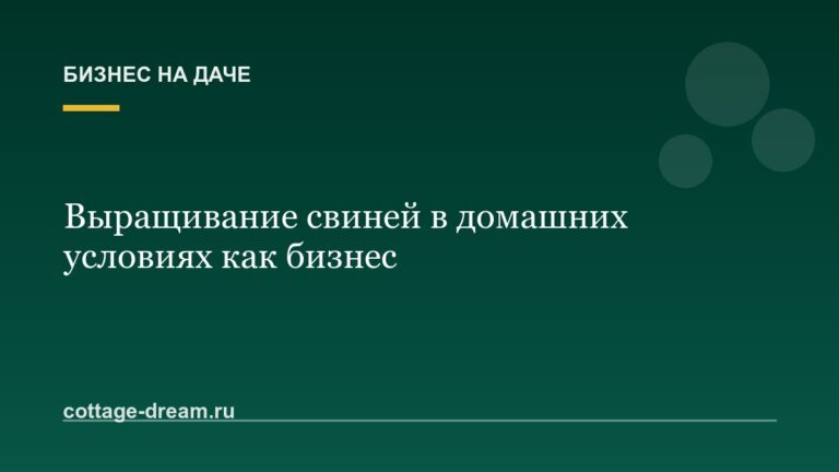 Выращивание свиней в домашних условиях как бизнес