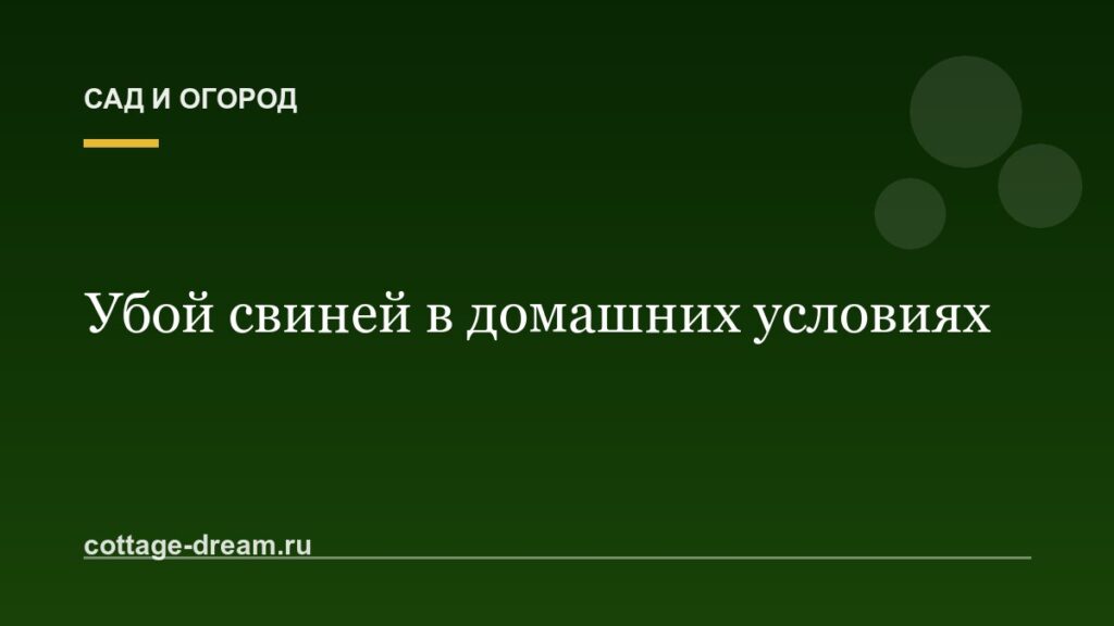 Убой свиней в домашних условиях: описание процесса