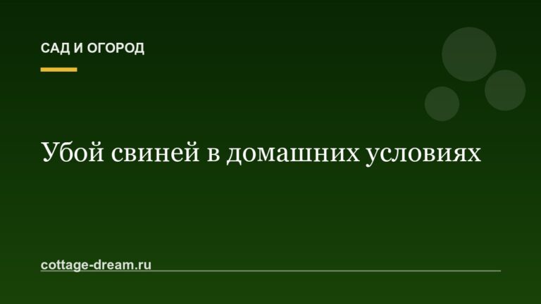 Убой свиней в домашних условиях: описание процесса