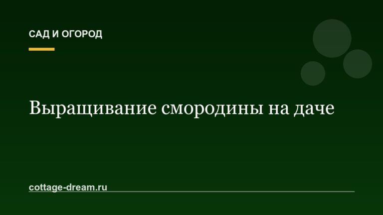 Выращивание смородины на даче : размножение и уход