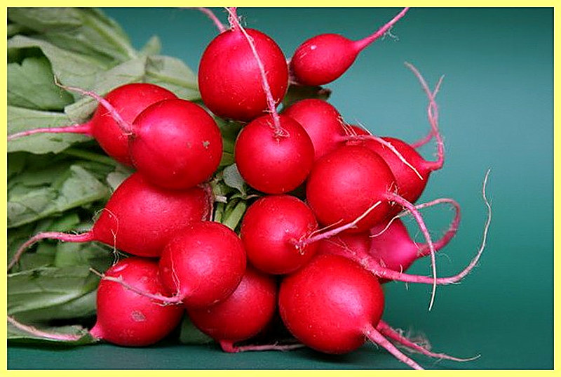 Редис и редька
