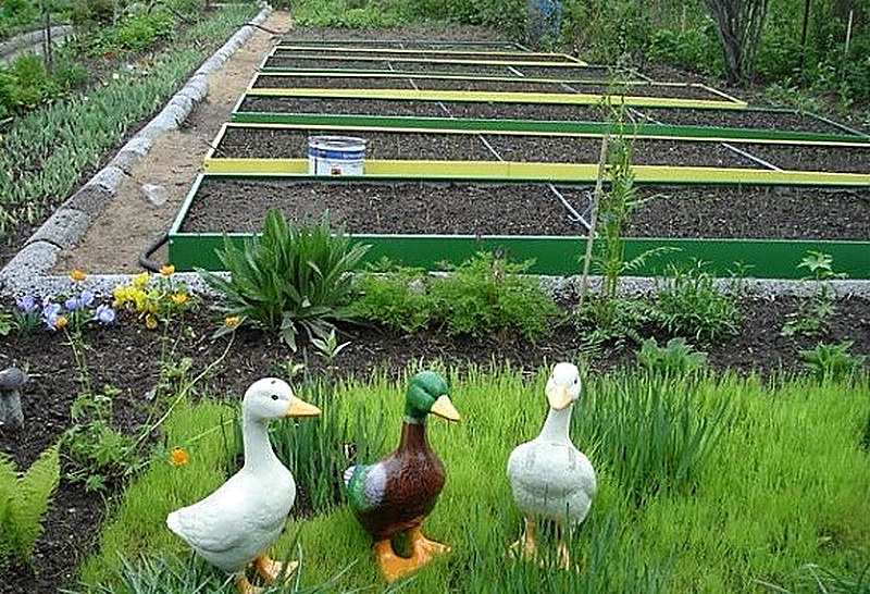 Устройство гряд