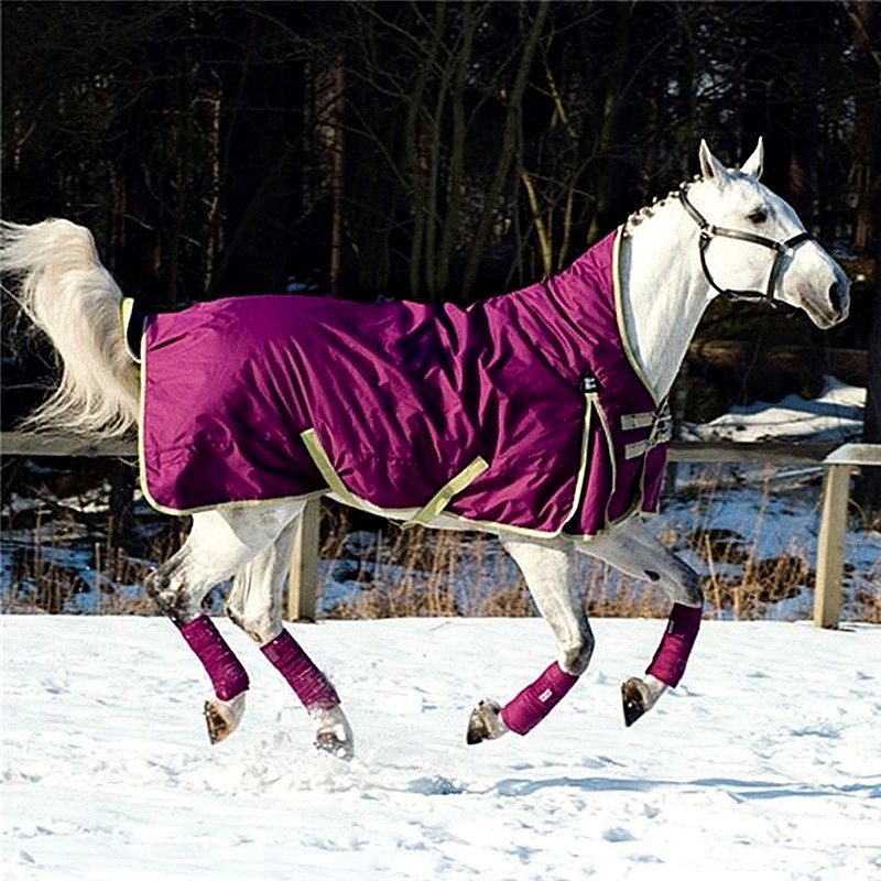 Плевропневмония лошадей