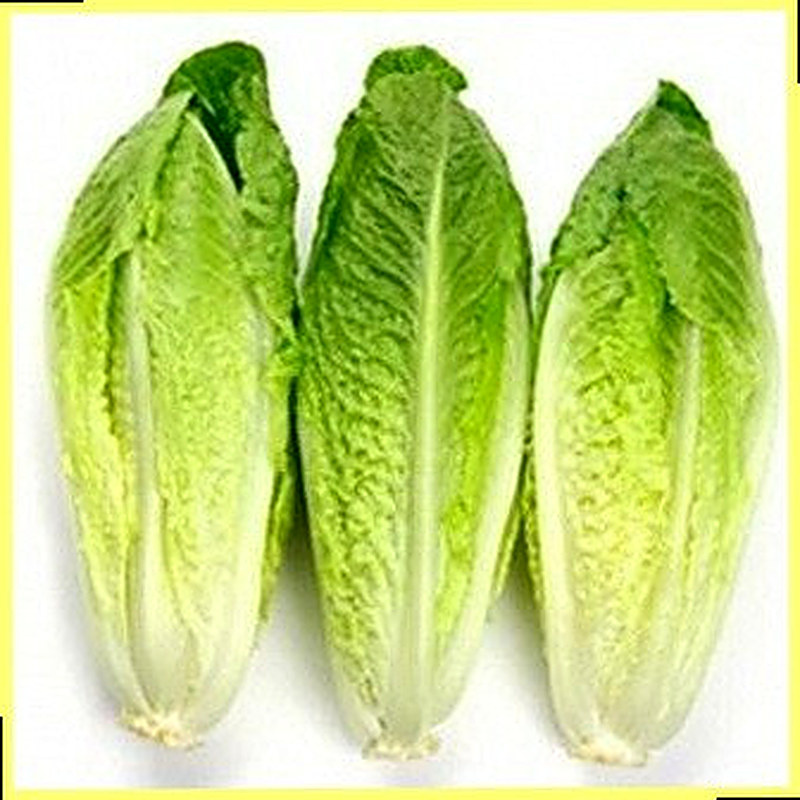 Салат Ромэн