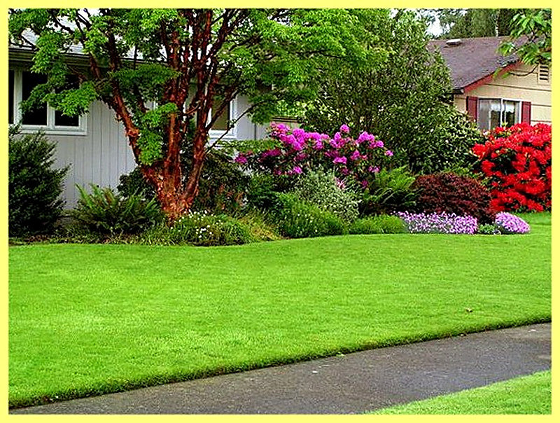 Английский газон