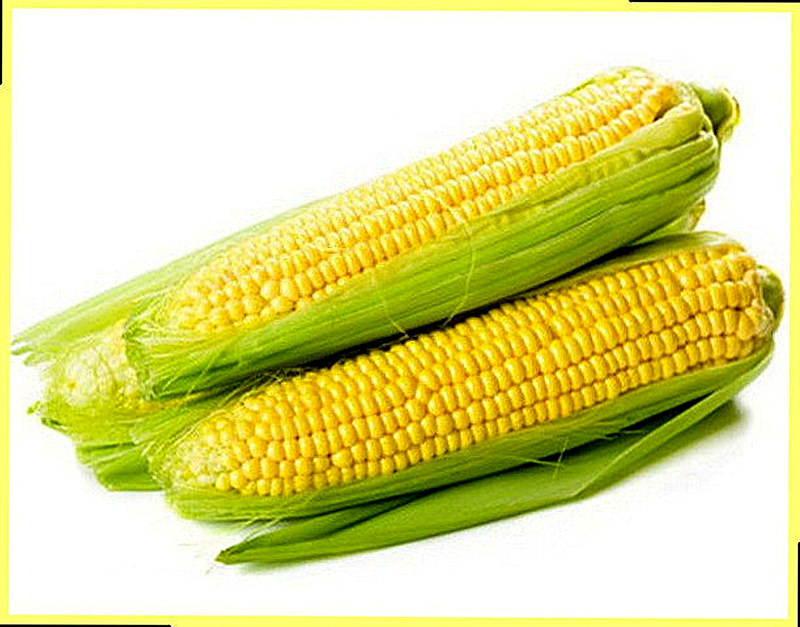 Кукуруза