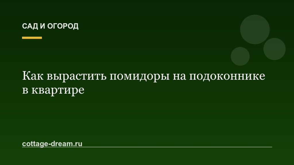 Как вырастить помидоры на подоконнике в квартире