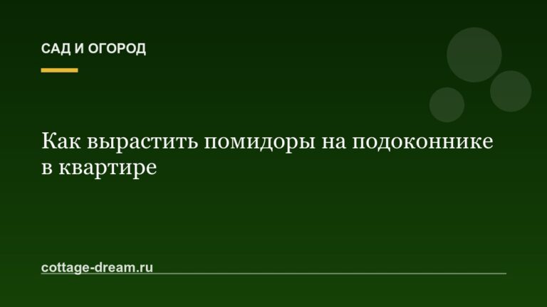 Как вырастить помидоры на подоконнике в квартире